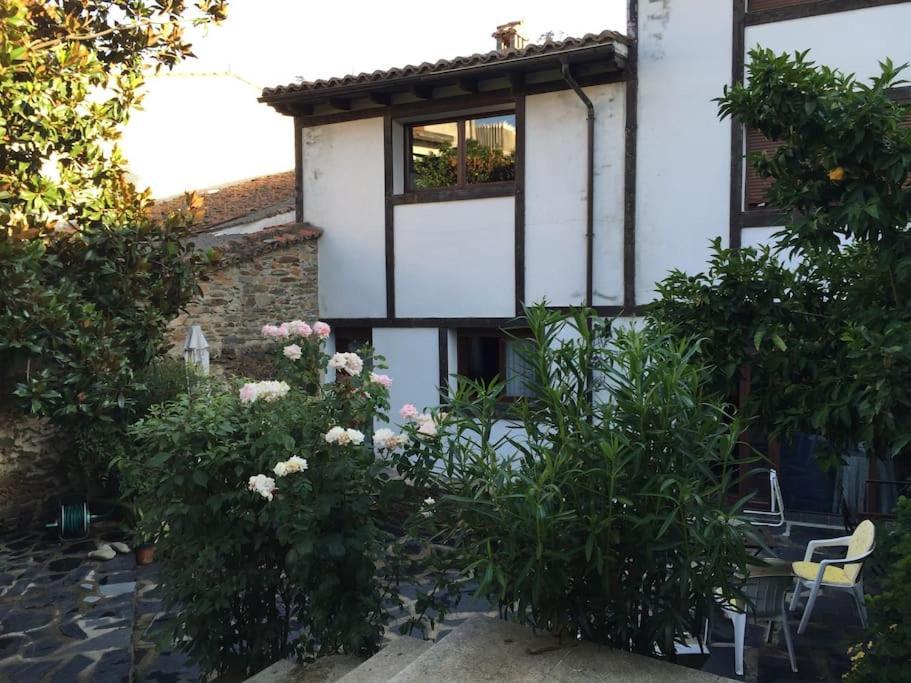 Casa Rural Con Piscina Privada Casar de Palomero Kültér fotó